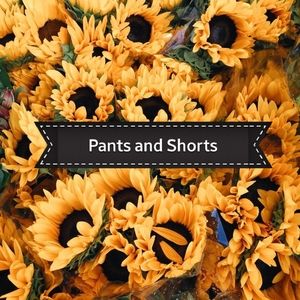 Pants and Shorts!